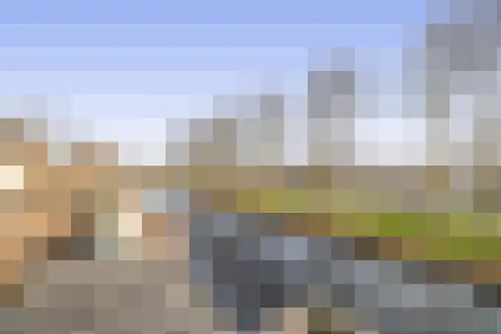 Torp 53 Den Helder thumbnail 22