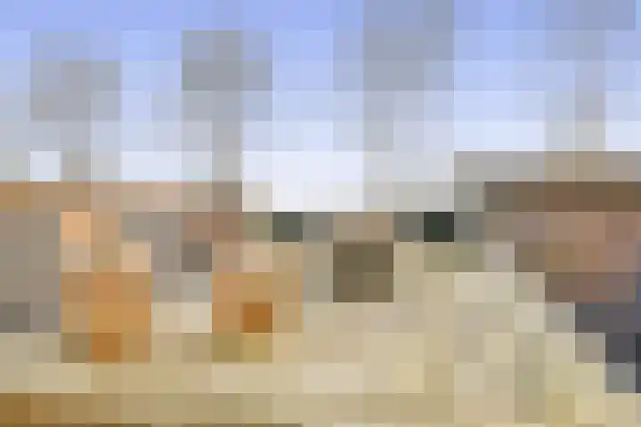 Torp 53 Den Helder thumbnail 23