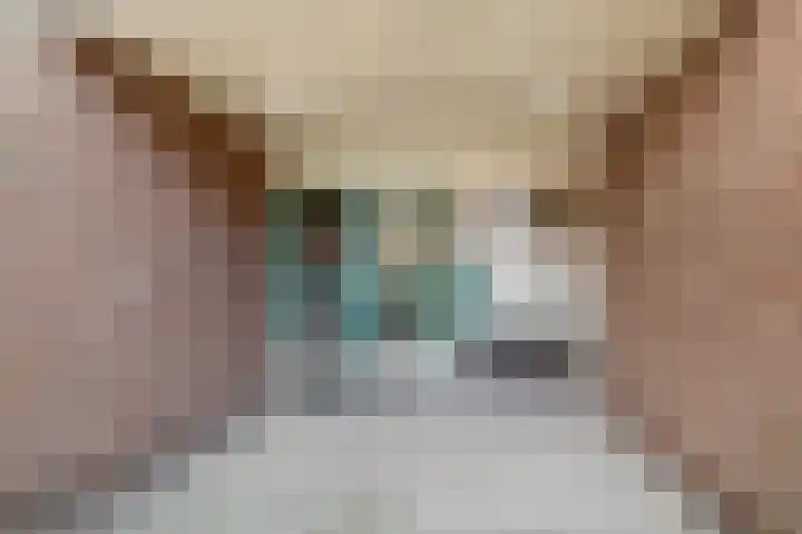 Torp 53 Den Helder thumbnail 4