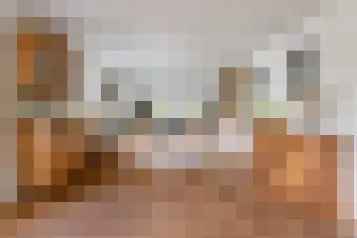 Torsdam 11 Altforst thumbnail 11