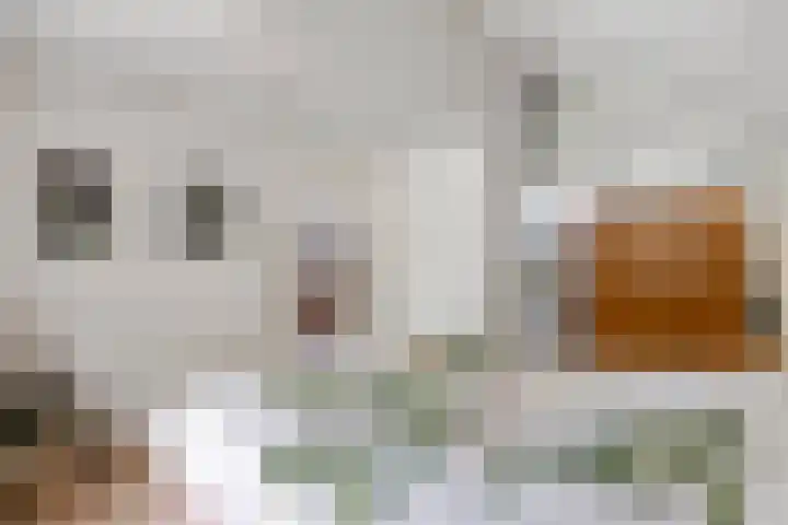 Torsdam 11 Altforst thumbnail 20