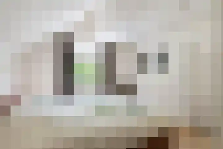 Torsdam 11 Altforst thumbnail 23