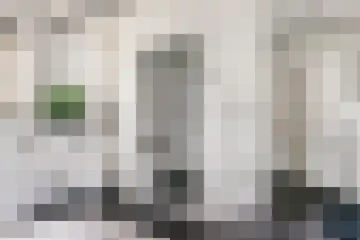 Torsdam 11 Altforst thumbnail 25