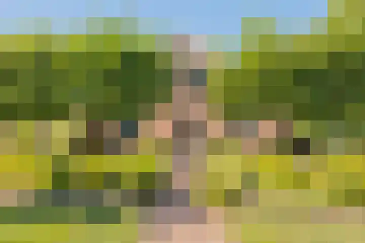 Torsdam 11 Altforst thumbnail 4
