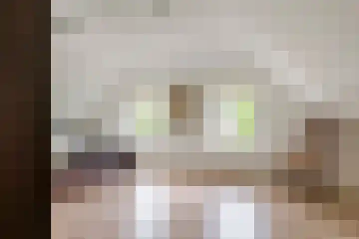 Torsdam 11 Altforst thumbnail 41