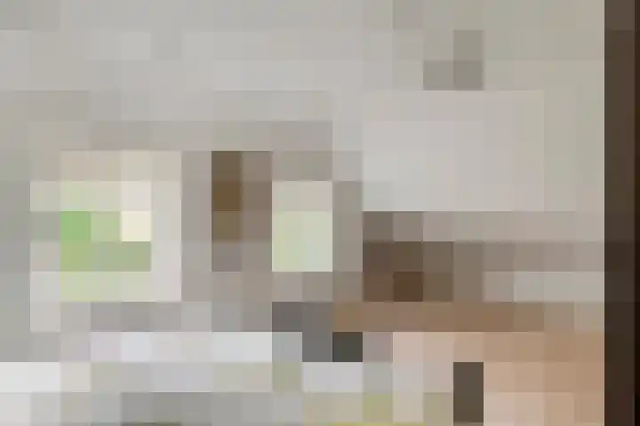 Torsdam 11 Altforst thumbnail 42