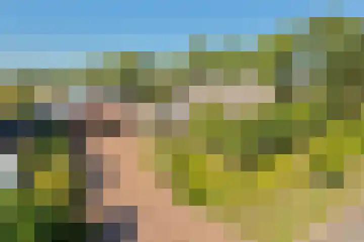 Torsdam 11 Altforst thumbnail 49