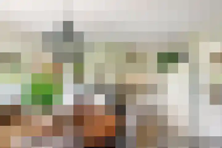 Torsdam 11 Altforst thumbnail 5