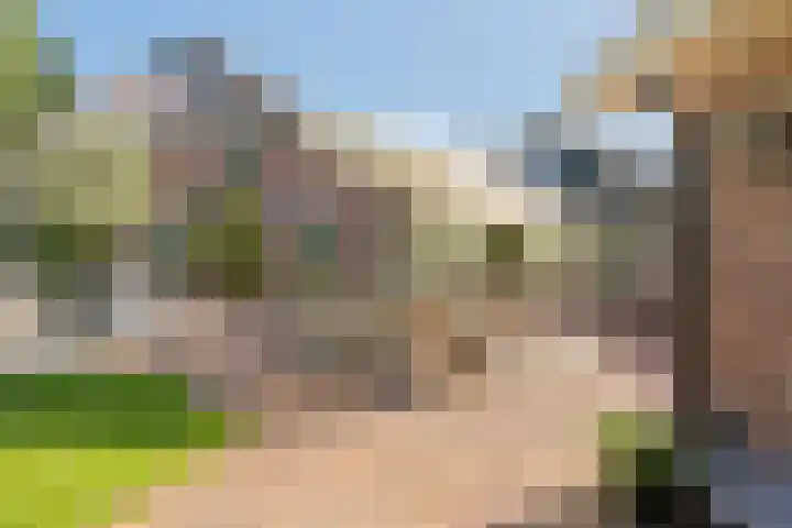 Torsdam 11 Altforst thumbnail 54