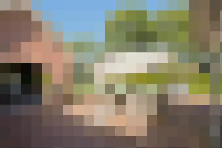 Torsdam 11 Altforst thumbnail 55