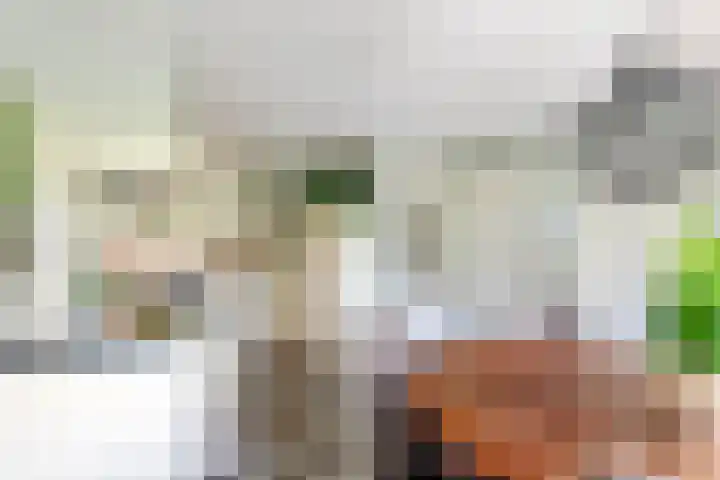 Torsdam 11 Altforst thumbnail 7