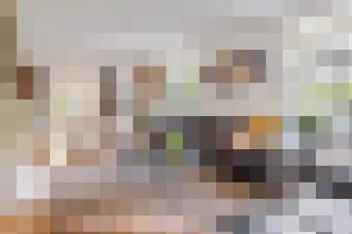 Torsdam 11 Altforst thumbnail 9