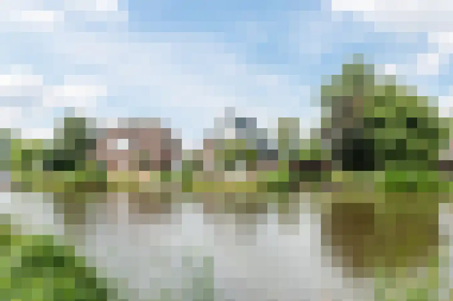 Tortelduif 10 in Blokker