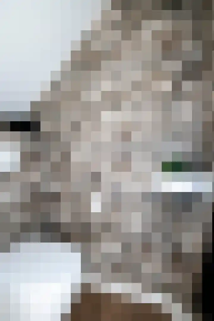 Tortelduif 65 Emmen thumbnail 11