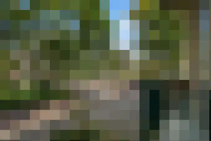 Tortellaan 20 Den Haag thumbnail 13