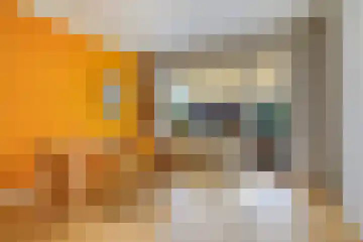 Tortellaan 20 Den Haag thumbnail 17