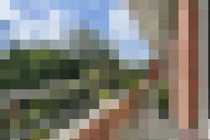 Tortellaan 20 Den Haag thumbnail 21