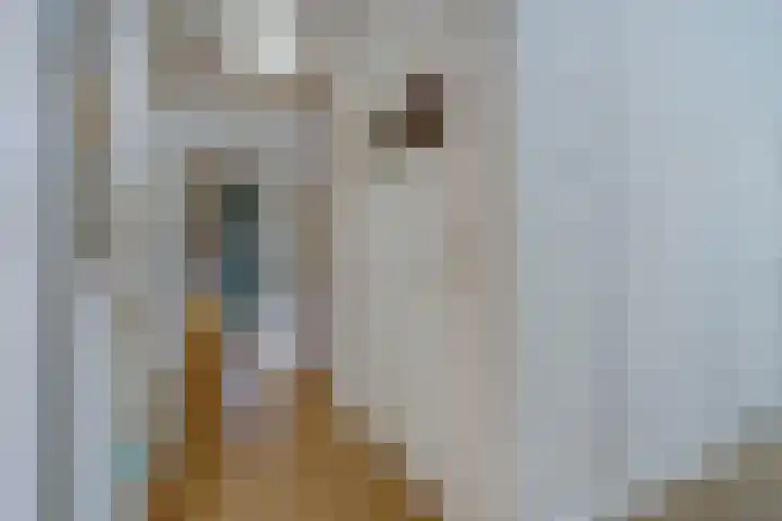 Tortellaan 20 Den Haag thumbnail 33