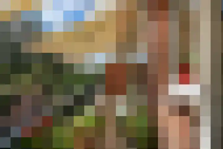 Tortellaan 20 Den Haag thumbnail 4
