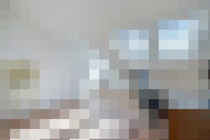Tortellaan 20 Den Haag thumbnail 41