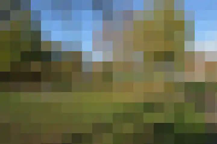 Torteltuin 7 Deurne thumbnail 31