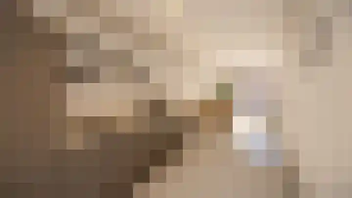 Torum 1 Scheemda thumbnail 7