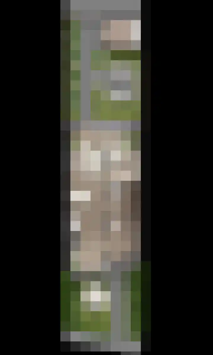 Torum 15 C Scheemda thumbnail 8