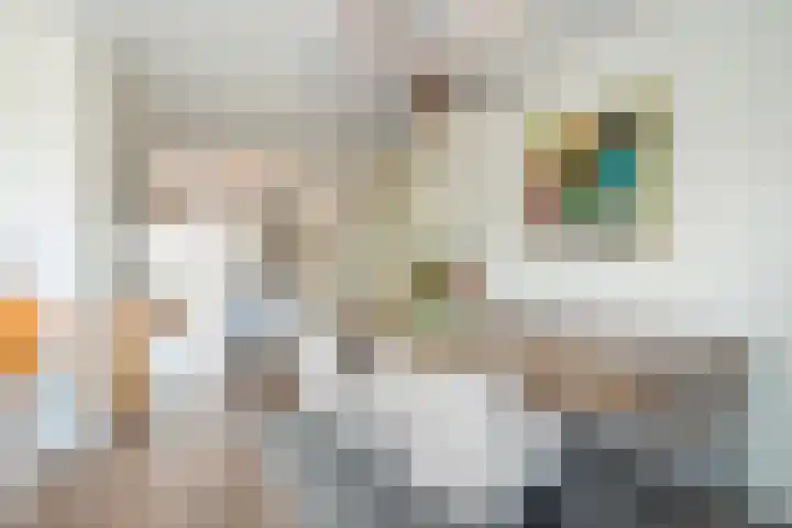 Toscane 74 Geleen thumbnail 11
