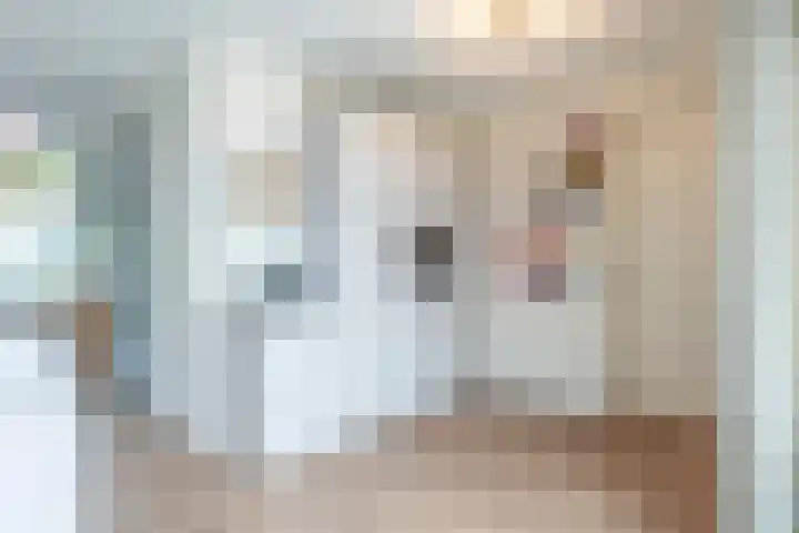 Toscane 74 Geleen thumbnail 20