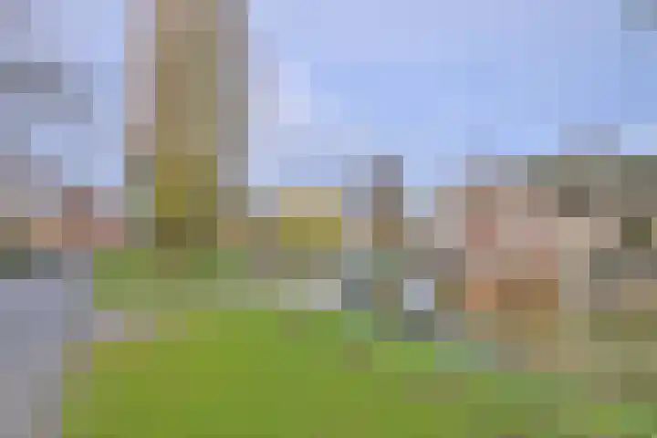 Toutenburg 343 Deventer thumbnail 44