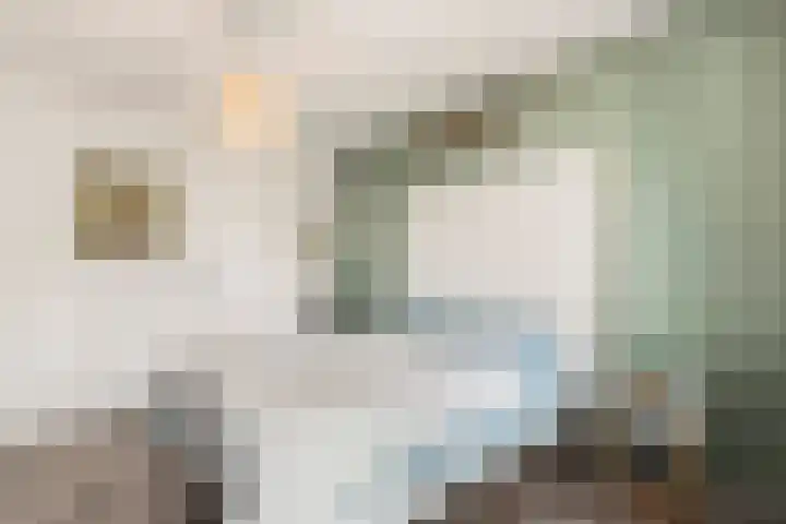 Touwbaan 2 Amsterdam thumbnail 17