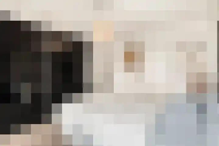 Touwbaan 2 Amsterdam thumbnail 18