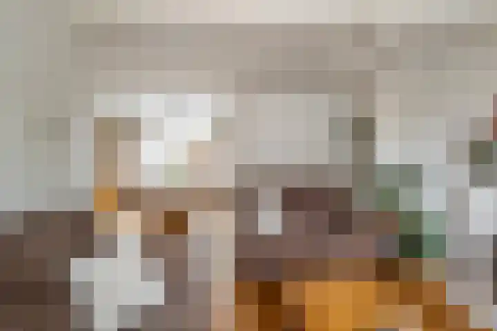 Touwslagersdreef 47 Tholen thumbnail 12