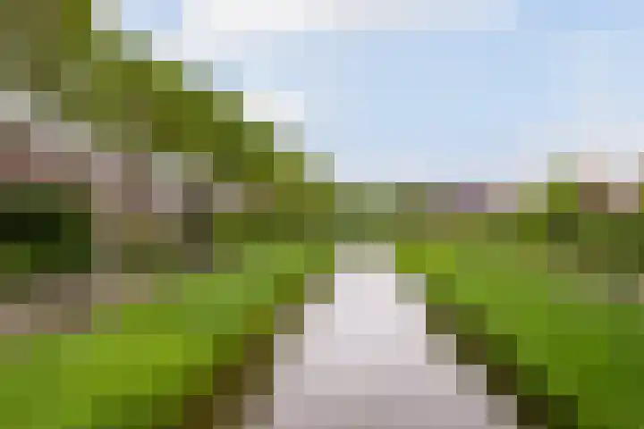 Touwslagersdreef 47 Tholen thumbnail 37