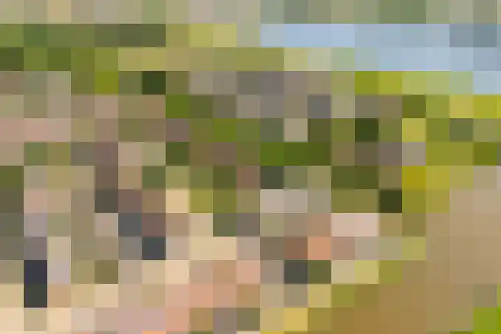 Touwslagersdreef 47 Tholen thumbnail 38