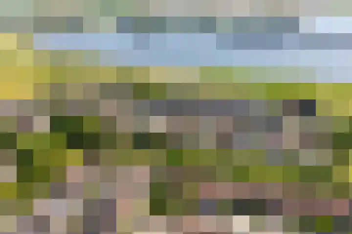 Touwslagersdreef 47 Tholen thumbnail 39