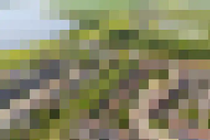 Touwslagersdreef 47 Tholen thumbnail 40