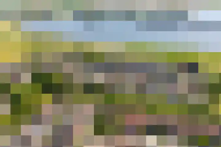 Touwslagersdreef 47 Tholen thumbnail 5