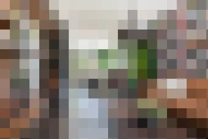 Tra 27 't Harde thumbnail 10