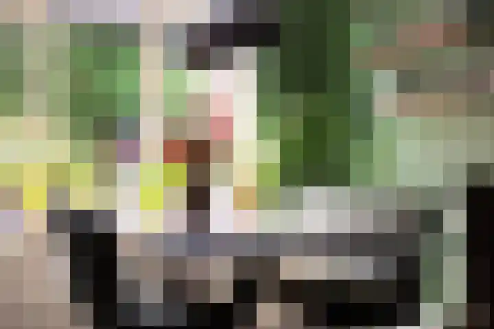 Tra 27 't Harde thumbnail 14