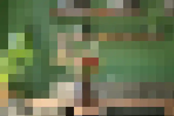 Tra 27 't Harde thumbnail 16