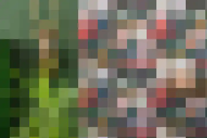 Tra 27 't Harde thumbnail 9