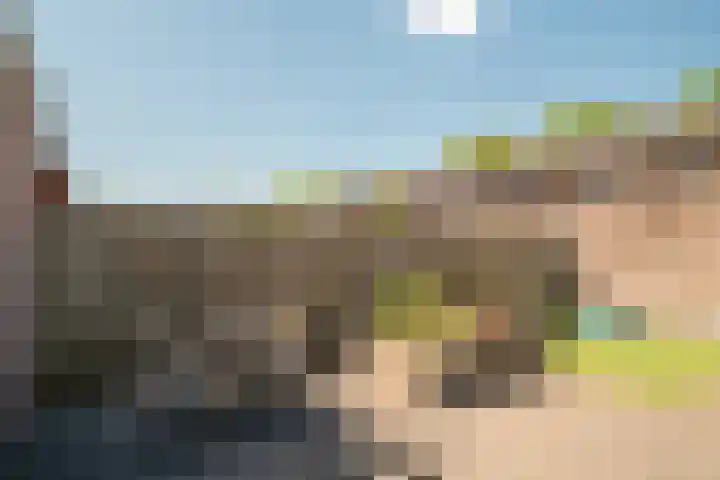 Traaipad 51 Zwolle thumbnail 23