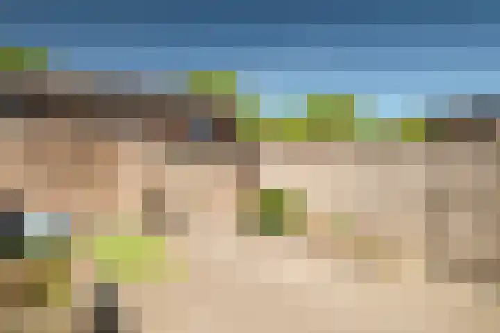 Traaipad 51 Zwolle thumbnail 24