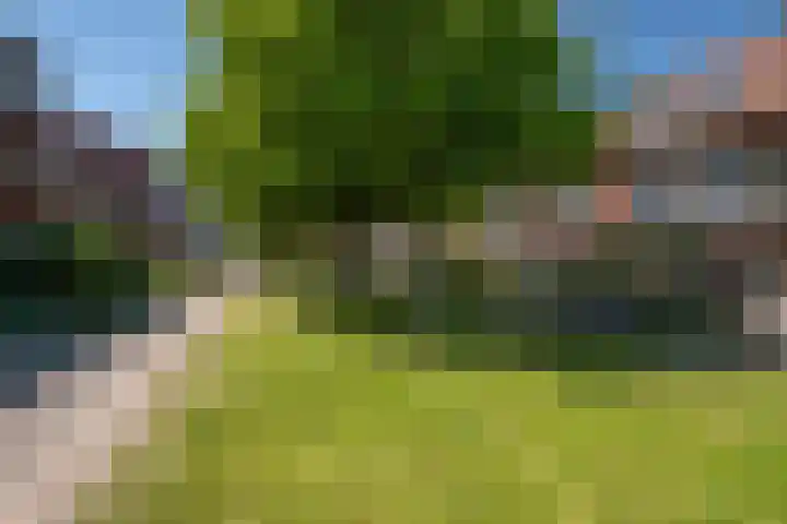 Traaipad 51 Zwolle thumbnail 29
