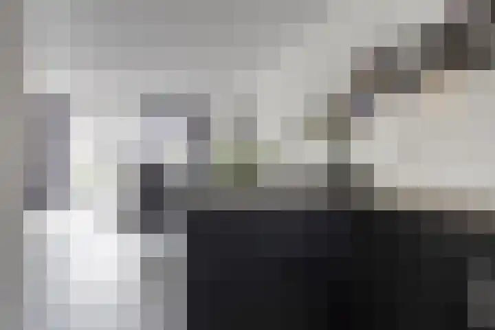 Tragel 30 IJsselmuiden thumbnail 13