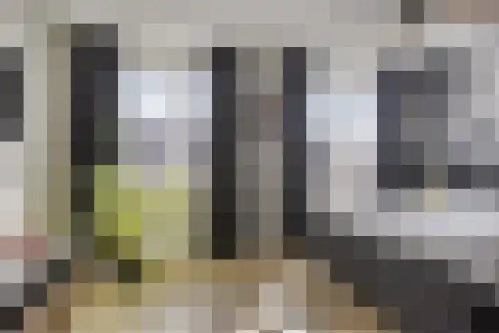 Tragel 30 IJsselmuiden thumbnail 15