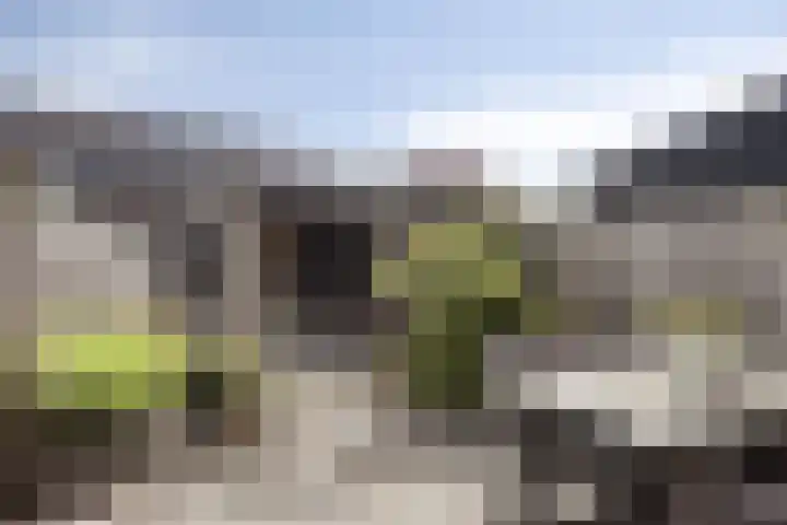 Tragel 30 IJsselmuiden thumbnail 22