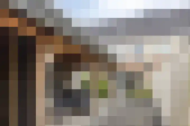 Tragel 30 IJsselmuiden thumbnail 24