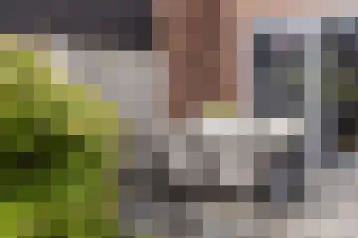 Tragel 30 IJsselmuiden thumbnail 25